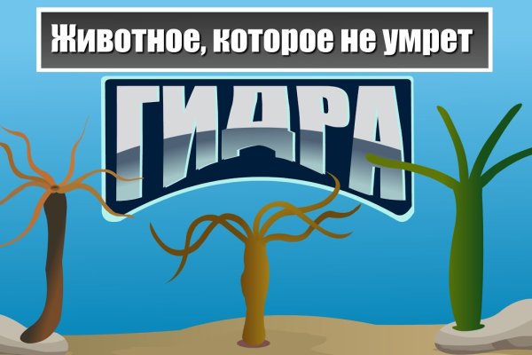 Зайти на кракен тор