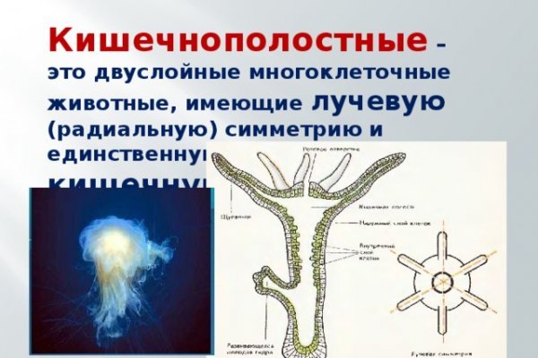 Кракен почему пользователь не найден